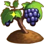 Producer Image